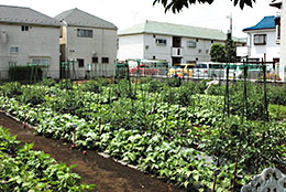 避難場所にもなる都市農地の維持には農協ががんばらなければならない