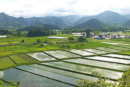 山形県高畠町の田園風景（提供はＤＶＤ「いのち耕す人々」より。配給 桜映画社）