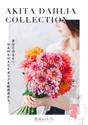 秋田市産ダリア×日比谷花壇「AKITA　DAHLIA　COLLECTION」開催