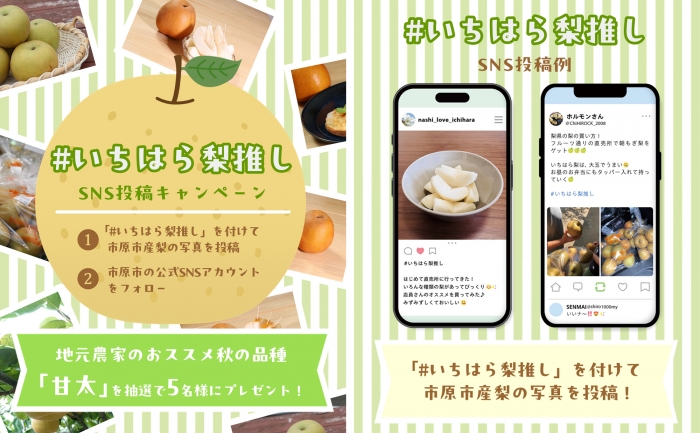 「いちはら梨」が当たるSNS投稿キャンペーン実施中　千葉県市原市