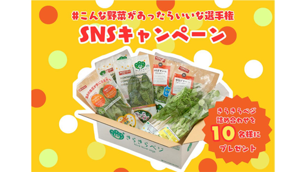 野菜の価格高騰を解決へ　植物工場「きらきらベジ」SNSキャンペーンを開催　日本山村硝子.jpg