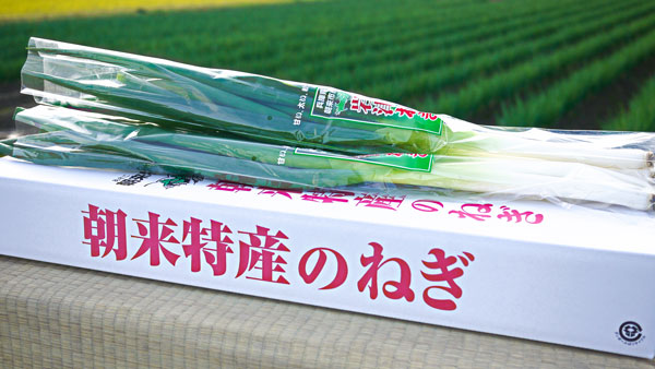 幻のねぎと言われ、徹底した種苗管理のもと育てられる「岩津ねぎ」