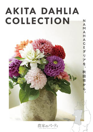 秋田市産ダリア×日比谷花壇「AKITA　DAHLIA　COLLECTION」開催