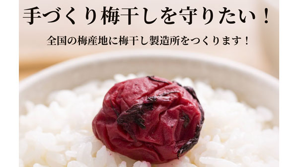 「梅ボーイズ」食品衛生法改正で存続の危機にある「手づくり梅干し」守るCF実施