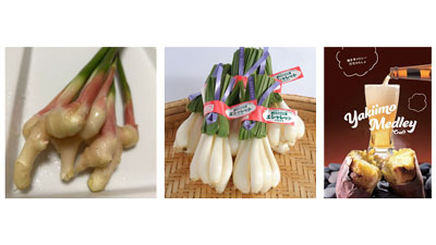 「なめがたさんちの特選マルシェ」ＪＡなめがたしおさい厳選「初夏の野菜ボックス」販売開始.jpg