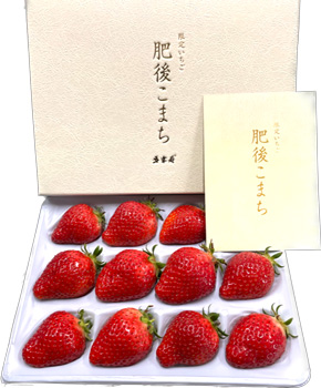 いちご1216です。 日本トリム 農業用電解水素水整水器を活用 いちご「肥後こまち」販売