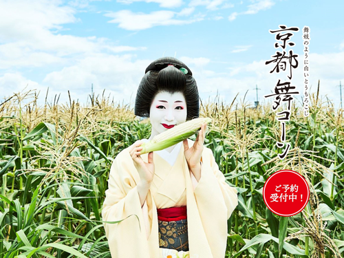 京都舞コーン