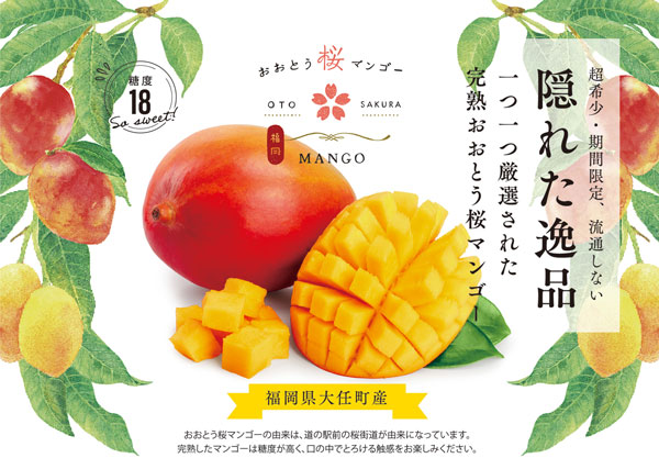 プチ贅沢なフルーツ「おおとう桜マンゴー」ロゴを刷新　福岡県大任町