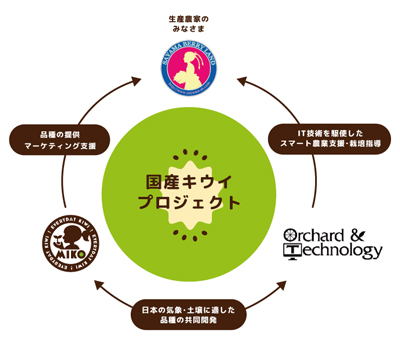プロジェクトサイクル