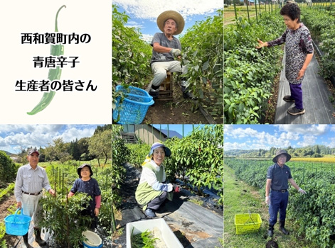 町内の協力生産者