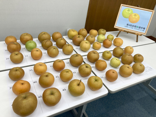 おいしいおいしい「梨」NO.1は千葉県船橋市「梨の船芳園」　日本ソムリエ協会