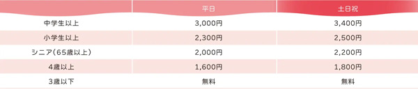 いちご狩り体験 料金表