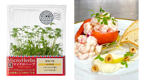 新商品「セロパセ」・「セロパセ」が彩をを添えた料理「トマト・オー・クルヴェットエビとトマトのタブレ、セロパセ仕立て」