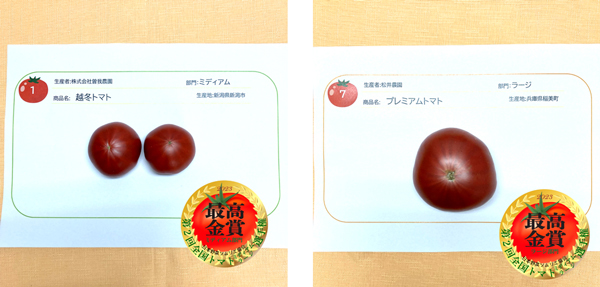 ミディアム部門最高金賞の「越冬トマト」、ラージ部門　最高金賞の「プレミアムトマト」