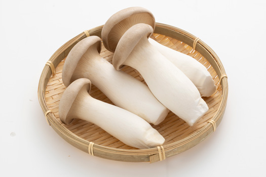 プリプリ食感と歯切れがアップした新エリンギ