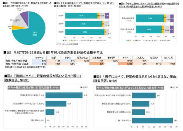 2025年野菜の総括 野菜摂取量の減少の理由に価格高騰も タキイ種苗