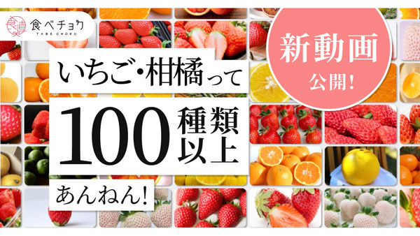「いちご・柑橘って100種類以上あんねん！」品種の多様性伝える新動画を公開　食べチョク.jpg
