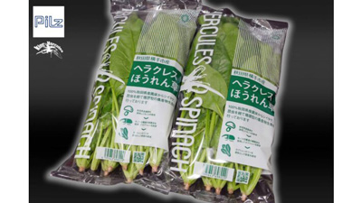 秋田県発　カブトムシのフンを有機肥料に「ヘラクレスベジタブル」発売　Pilz_01s.jpg