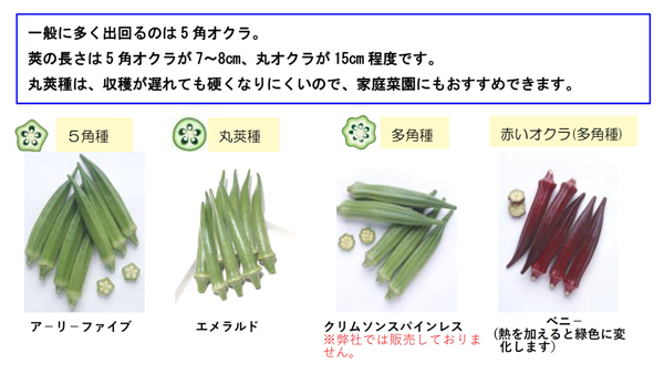 胃の粘膜を保護したり、糖分の吸収を抑える効果があるペクチンは、