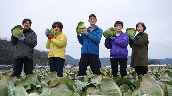 「東近江キャベツ」生産者