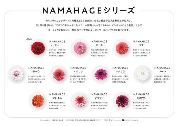 NAMAHAGEダリア紹介パネル