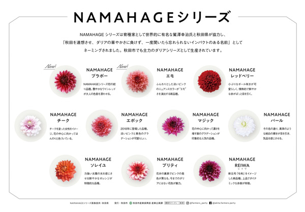 NAMAHAGEダリア紹介パネル