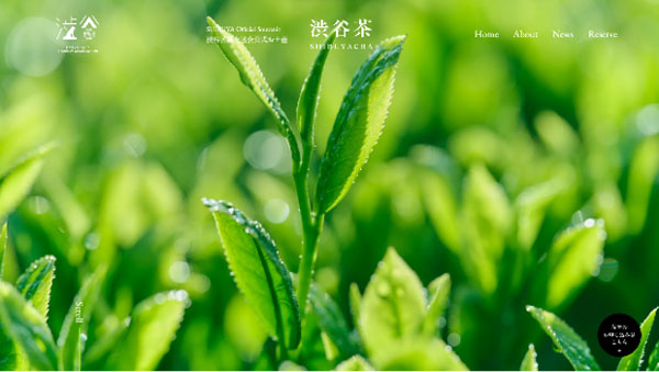 幻の銘茶「渋谷茶」復活プロジェクト始動　数量限定で苗木を無償提供