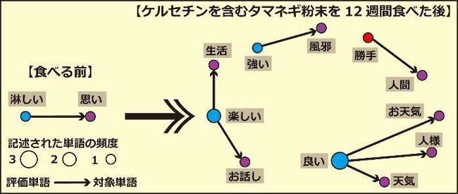 図1：記述された単語のネットワーク図