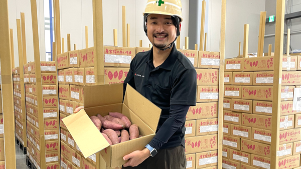 静岡県産サツマイモ　清水港から初となるタイ向けに輸出　日本農業