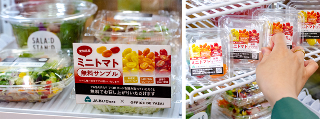愛知県産ヘタなしミニトマト「あまえぎみ クレア」のオフィスでのサンプリング