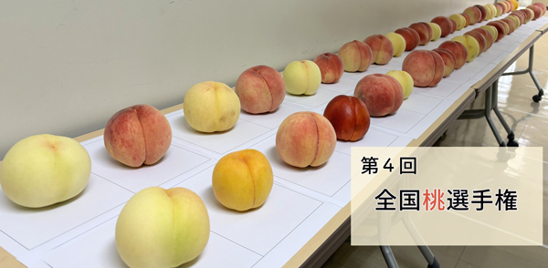 「第4回全国桃選手権」最高金賞は山梨県甲州市「甘麗露」日本野菜ソムリエ協会
