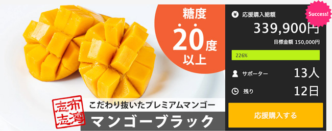 糖度20度以上「志布志湾マンゴーブラック」Makuakeで先行販売