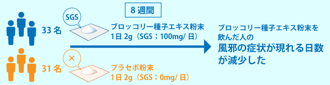 ブロッコリースプラウトに含まれる「スルフォラファン」風邪の症状を抑制する効果を確認