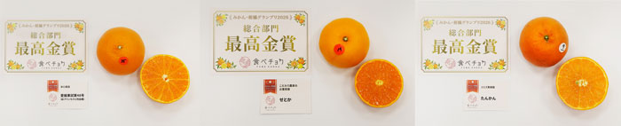 左から、最高金賞の「愛媛果試第48号」（紅プリンセスと同品種）、「せとか」、「たんかん」