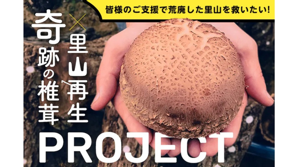 岡山の奇跡の椎茸×里山再生　マルハチ原木椎茸　オーナーを募集開始