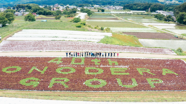 トップリバー富士見農場（長野県諏訪郡富士見町）で披露された「レタスアート」
