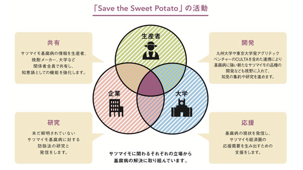 みんなのサツマイモを守るプロジェクト（SSP）の活動