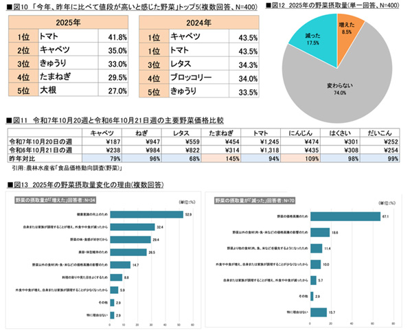 2025年野菜の総括 野菜摂取量の減少の理由に価格高騰も タキイ種苗