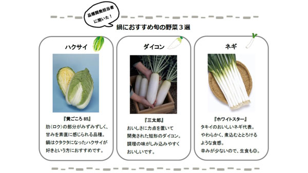 鍋におすすめ旬の野菜3選　品種開発担当者に聞いた野菜の鮮度ポイント　タキイ種苗