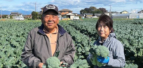 埼玉のブロッコリー畑と生産者