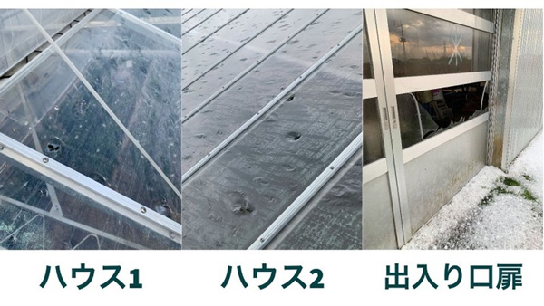 雹による被害