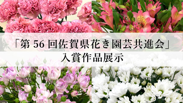 「第56回佐賀県花き園芸共進会」入賞作品　25日から「SAGA MADO」で展示