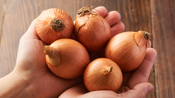 北海道産小玉ねぎ