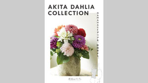 秋田市産ダリア×日比谷花壇「AKITA　DAHLIA　COLLECTION」開催