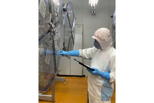 グリーンヴァインズ社員の日本での研修風景