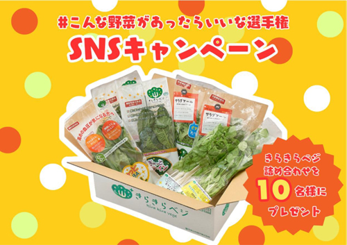 野菜の価格高騰を解決へ　植物工場「きらきらベジ」SNSキャンペーンを開催　日本山村硝子