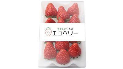 化学農薬不使用・完全LED栽培による「エコベリー」6月から量産出荷開始　TSUBU_01sss.jpg