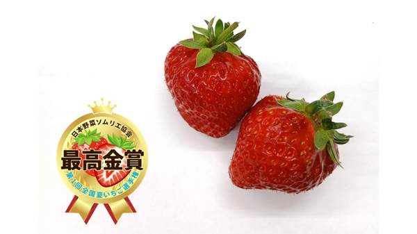 おいしい「夏いちご」日本一は広島県廿日市「冠苺」日本野菜ソムリエ協会.jpg