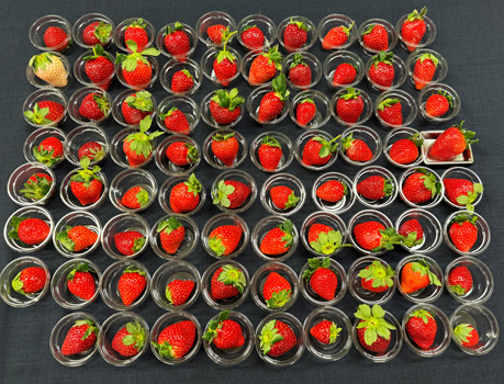 エントリーされたいちご