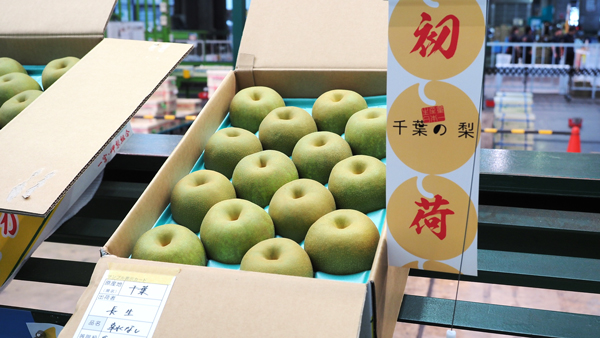 初荷の「幸水」（千葉県提供）